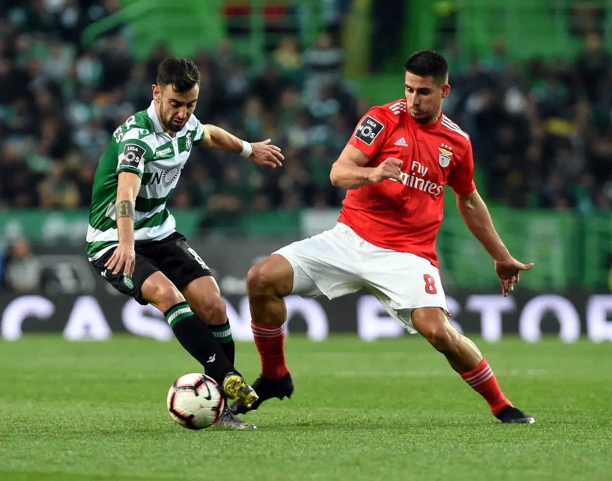 葡萄牙体育训练开放日，关键时刻强势反弹引欢呼，意大利杯在即，纪律约束更严格的简单介绍